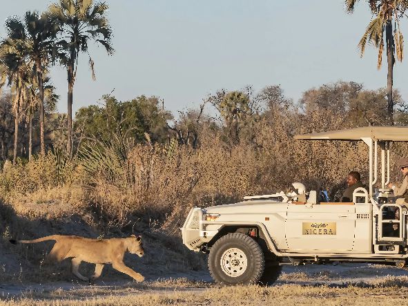 5* Xigera Safari Lodge - Okavango Delta Package (4 Nights)