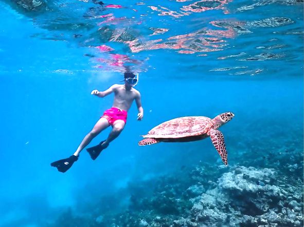 4* Meeru Island Resort & Spa - Maldives Package (7 Nights)