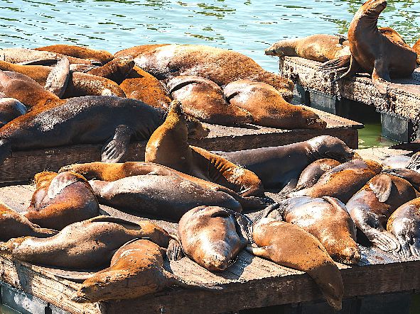 4* San Francisco Experience - USA Package (3 Nights)