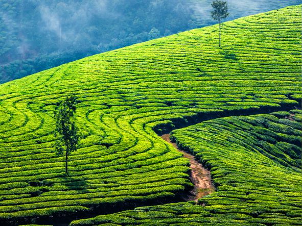 4* Kerala Beach Experience - India Package (10 Nights)