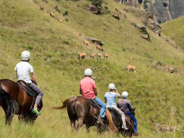 4* Cathedral Peak Hotel - Central Drakensberg Family Package (2 Nights)