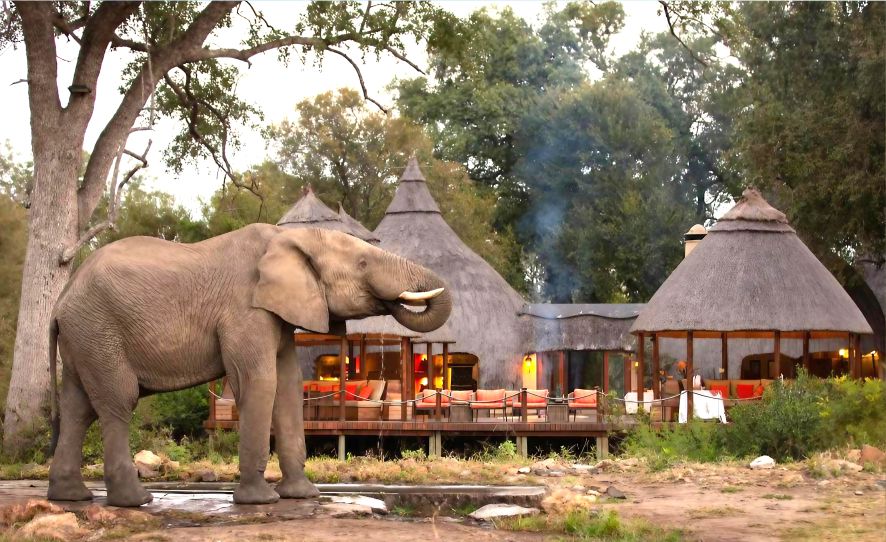 5* Hoyo Hoyo Safari Lodge - Kruger National Park Package (2 Nights)