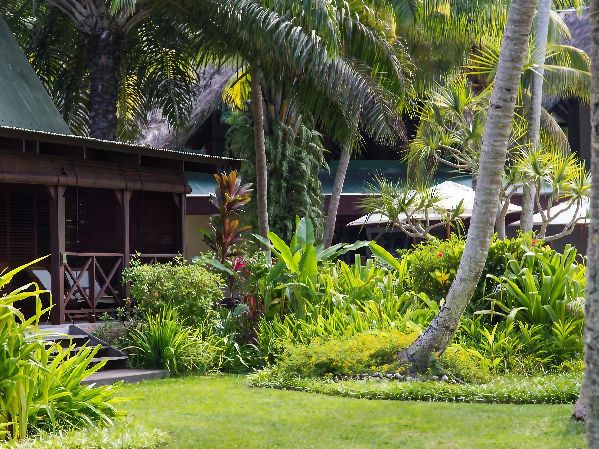 4* Paradise Sun - Seychelles Package (7 Nights)
