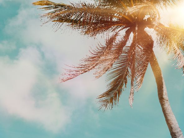 4* Miami Experience - USA Package (5 Nights)