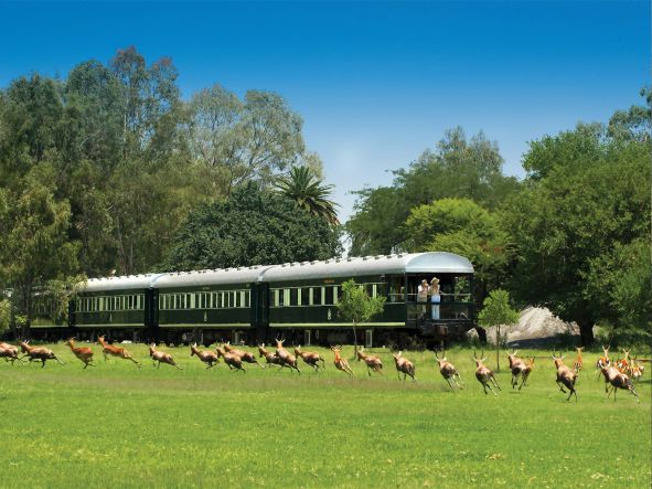 5* Luxury Rovos Rail - Durban Package (3 Nights)
