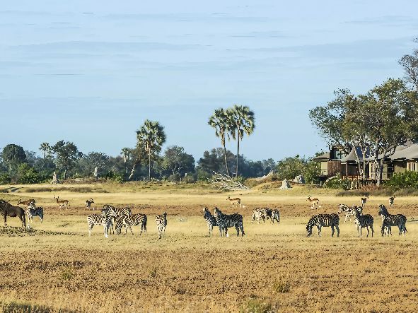 5* Xigera Safari Lodge - Okavango Delta Package (4 Nights)