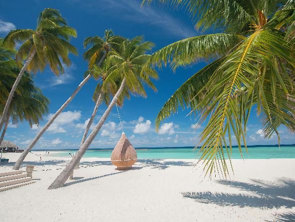 5* Veligandu - Maldives Package (7 Nights)