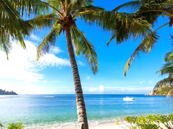 5* Kempinski Seychelles Resort - Seychelles Package (7 Nights)