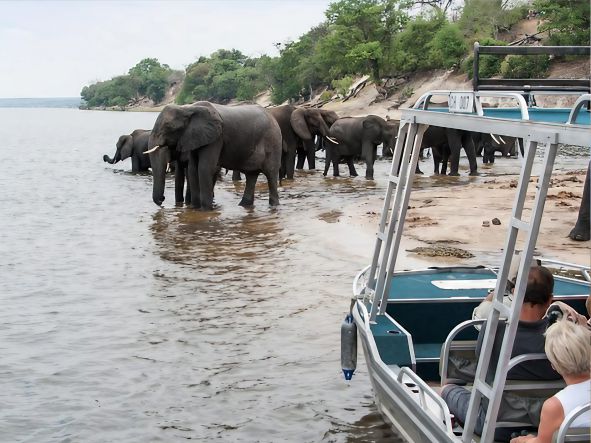 5* Zambezi Queen Safari Boat - 3 Night Package
