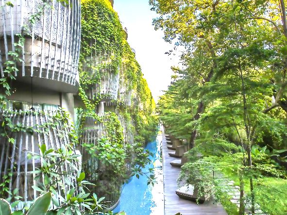 5* Maya Sanur - Bali Package (7 Nights)