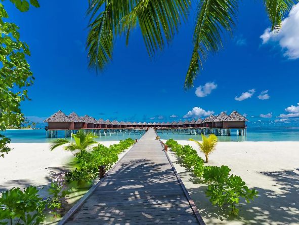 4* Sun Siyam Olhuveli - Maldives Package (7 Nights)