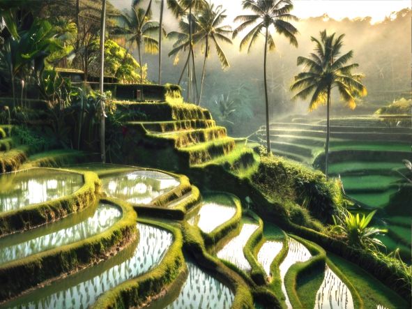 5* Grand Mirage Resort - Bali Package (7 Nights)