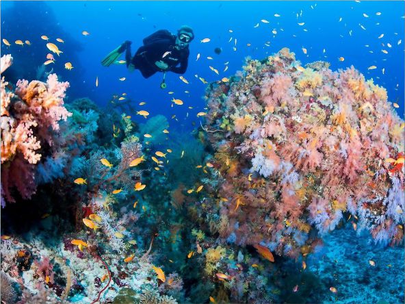 4* Sandies Bathala - Maldives Package (7 Nights)