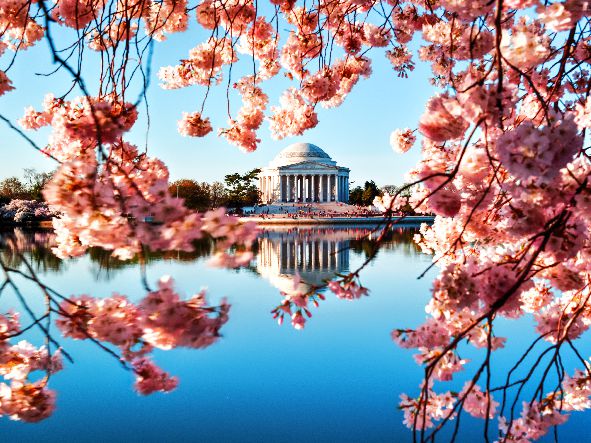 4* Washington D.C Experience - USA Package (5 Nights)