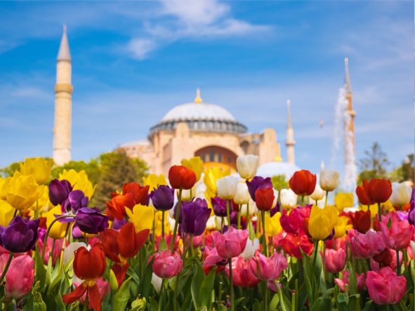 5* Turkish Express - Escorted Tour (8 Nights)