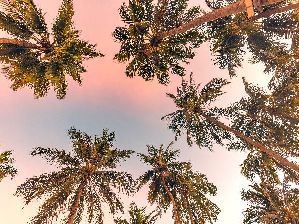 4* Miami Experience - USA Package (5 Nights)