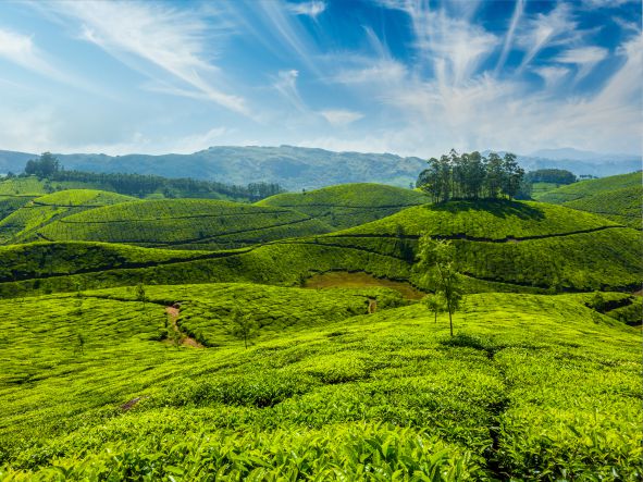 4* Kerala Beach Experience - India Package (10 Nights)