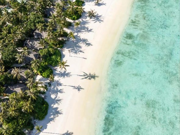 5* Cocoon Maldives - Maldives Package (7 Nights)