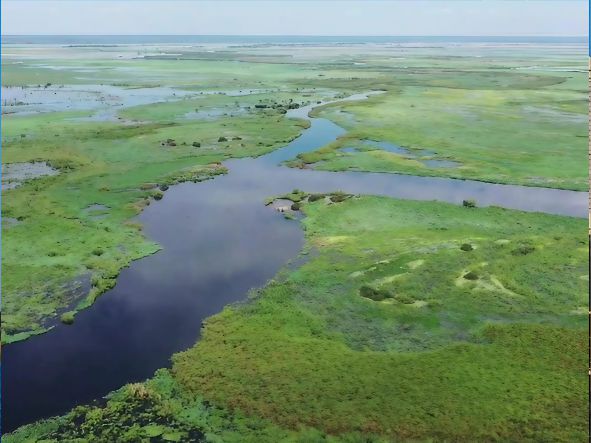 5* Zambezi Queen Safari Boat - 3 Night Package