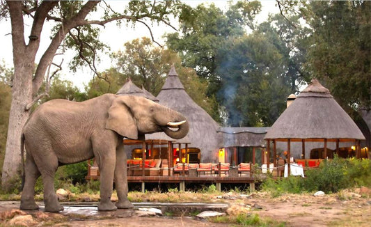 5* Hoyo Hoyo Safari Lodge - Kruger National Park Package (2 Nights)